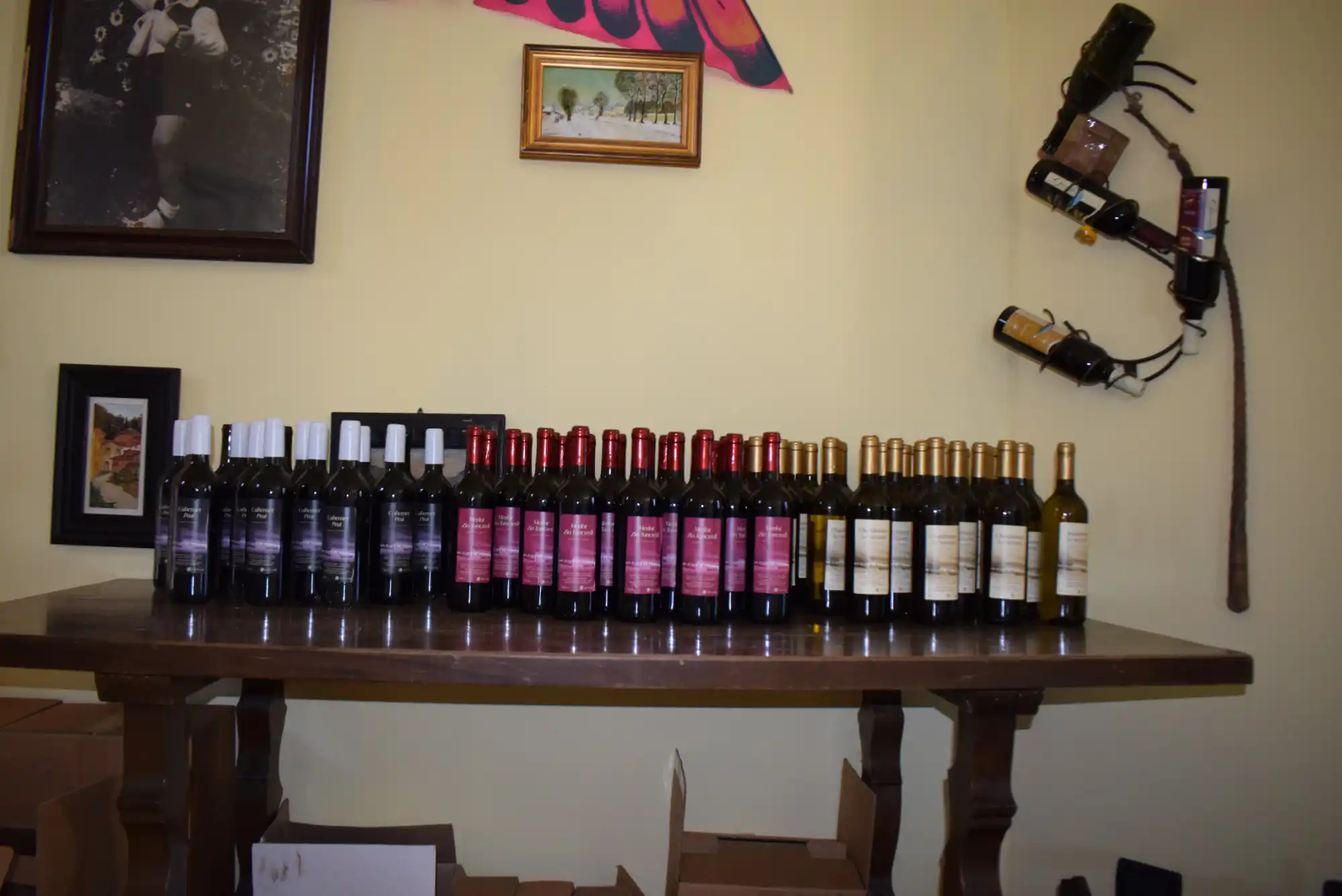 Bottiglie di vino azienda agricola tonolini