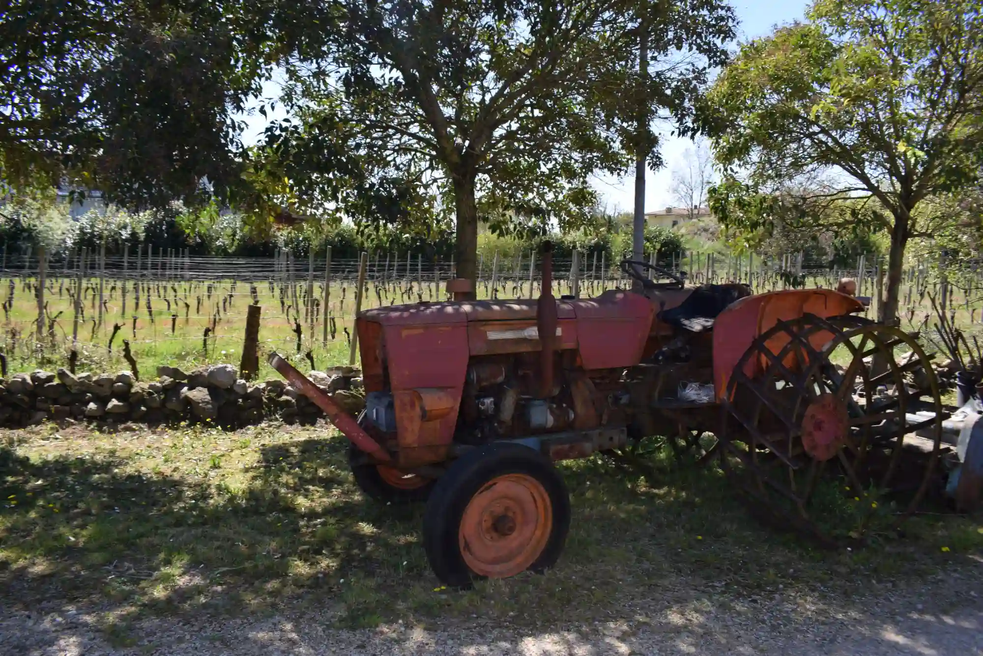 Trattore epoca azienda agricola